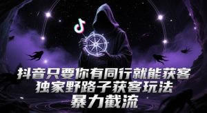 抖音只要你有同行就能获客,独家野路子获客玩法,暴力截流【揭秘】-资源云