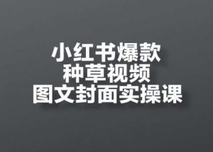 小红书爆款种草视频图文封面实操课,开店、选品、引流、变现全流程-资源云