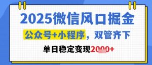 2025微信风口掘金,公众号+小程序双管齐下,单日稳定变现1k+【揭秘】-资源云