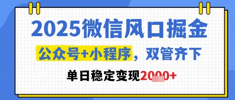 2025微信风口掘金，公众号+小程序双管齐下，单日稳定变现1k+【揭秘】-资源云