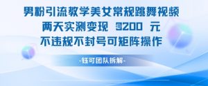 男粉引流教学美女常规跳舞视频两天实测变现1k+,不违规不封号可矩阵操作-资源云