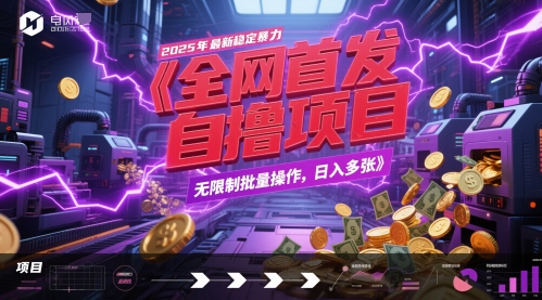 全网首发，2025年最新稳定暴力全自动自撸项目，无限制批量操作，日入多张【揭秘】-资源云
