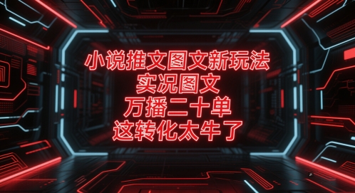 小说推文图文新玩法，实况图文，万播二十单，这转化太牛了！-资源云