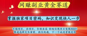 网创副业黄全赛道,掌握独家项目密码,知识变现快人一步,告别韭菜轻松实现单日变现1k+【揭秘】-资源云