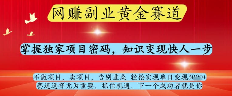 网创副业黄全赛道，掌握独家项目密码，知识变现快人一步，告别韭菜轻松实现单日变现1k+【揭秘】-资源云