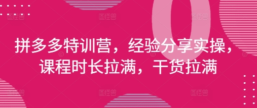 拼多多特训营，经验分享实操，课程时长拉满，干货拉满(更新25年4月)-资源云