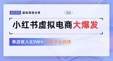 小红书虚拟电商项目，平台大力免费流量扶持，低门槛1拖3玩法-资源云