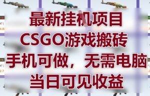 最新挂G项目,CSGO游戏搬砖,手机可做,无需电脑,当日见收益【揭秘】-资源云