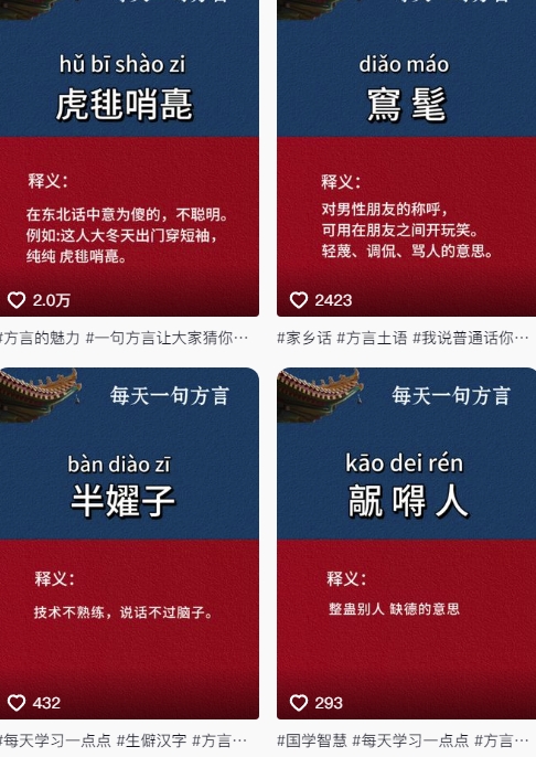 抖音最新涨粉玩法，图文方言暴力涨粉实操，126作品涨粉11W-资源云