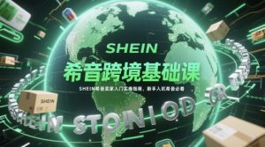 希音跨境基础课 SHEIN希音卖家入门实操指南 新手入坑希音必看-资源云