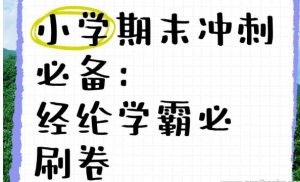 经纶学霸《2025春小学学霸期末必刷卷·语数英》 2GB-资源云