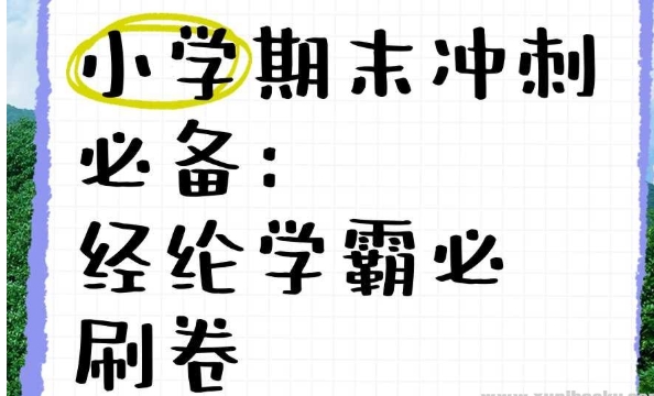 经纶学霸《2025春小学学霸期末必刷卷·语数英》 2GB-资源云