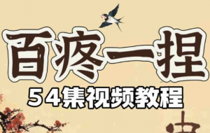 百疼一捏合集54节课程-资源云
