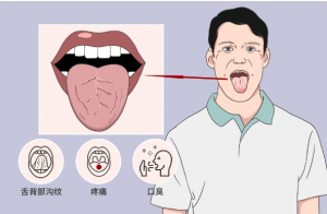 杨春虎舌诊精品面授课（25节视频课）-资源云