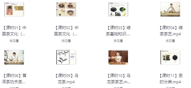 茶艺全套课程合集-资源云