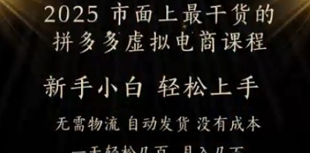 25年最干货的拼多多虚拟电商课程 小白轻松上手月入过w只是门槛!虚拟电商 如皓月见-资源云
