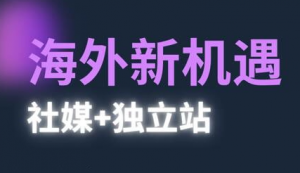 棕榈2025出海新机遇(社媒+独立站)-资源云