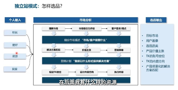 图片[2]-棕榈2025出海新机遇(社媒+独立站)-资源云