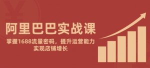 阿里巴巴实战课 掌握1688流量密码 提升运营能力 实现店铺增长-资源云