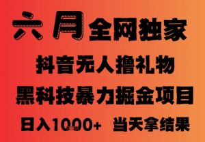 25年6月抖音无人直播最新暴力撸音浪掘金,小白可做,可批量矩阵放大,长期稳定日入1k+【揭秘】-资源云