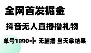 全网首发掘金抖音无人直播撸礼物，单号1k +无脑撸，当天拿结果【揭秘】-资源云