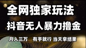全网独家玩法抖音无人暴力撸金,月入3W,有手就行,当天拿结果【揭秘】-资源云