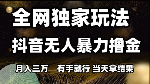 全网独家玩法抖音无人暴力撸金，月入3W，有手就行，当天拿结果【揭秘】-资源云