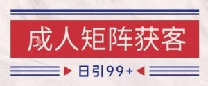 小红书某音橙人赛道引流获客,自热矩阵日引200+【揭秘】-资源云