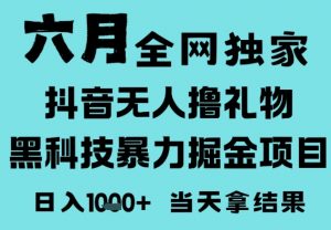 25年6月高爆抖音无人直播最新撸音浪掘金项目,门槛低小白可做,无脑日入1k,可矩阵放大【揭秘】-资源云