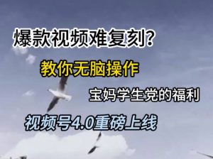 视频号4.0重磅上线,爆款视频难复刻?教你无脑操作宝妈学生党的福利【揭秘】-资源云