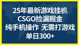 25年CSGO游戏搬砖,全自动挂G,不需要玩游戏,手机操作日入3张+【揭秘】-资源云