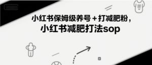 小红书保姆级养号+打减肥粉,小红书减肥打法sop-资源云