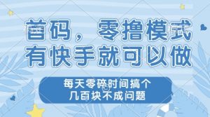 首码，零撸模式，有快手就可以做，每天零碎时间搞个几张不成问题【揭秘】-资源云