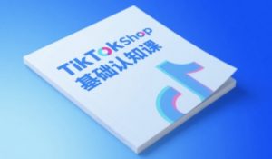TikTok小店基础认知课，助力学员从 0 到 1 掌握 TikTok 电商运营全链路认知-资源云