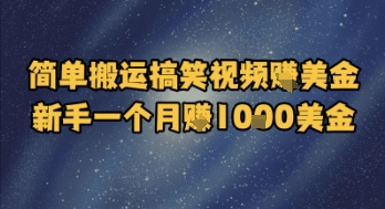 简单搬运搞笑视频挣美金，新手一个月入1k美金-资源云