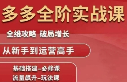 拼多多全阶实战课程，全维攻略，破局增长，从新手到运营高手-资源云