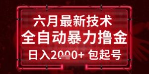 六月最新技术全自动暴力撸金,稳定日入2k+包起号,长期稳定【揭秘】-资源云