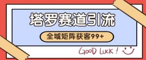 小红书某音塔罗赛道引流获客 自热矩阵日引200+【揭秘】-资源云