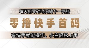 零撸快手首码,每天用零碎时间搞个一两张,有快手就能操作小白轻松上手【揭秘】-资源云