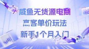 咸鱼无货源电商,高客单价玩法,新手1个月入门-资源云