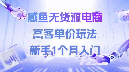 咸鱼无货源电商，高客单价玩法，新手1个月入门-资源云
