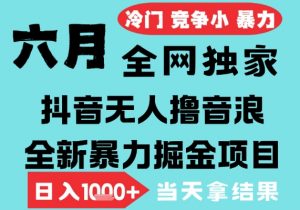2025年6月高爆抖音无人直播最新撸音浪掘金项目,无脑日入1k+,低门槛小白可做,可矩阵放大【揭秘】-资源云