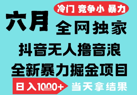 2025年6月高爆抖音无人直播最新撸音浪掘金项目，无脑日入1k+，低门槛小白可做，可矩阵放大【揭秘】-资源云