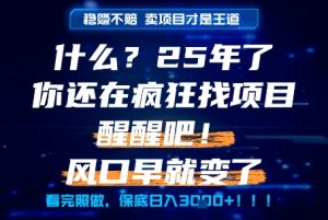 什么?25年你还在疯狂找项目做,醒醒吧,看完这些你全都懂了!【揭秘】-资源云