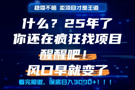 什么？25年你还在疯狂找项目做，醒醒吧，看完这些你全都懂了！【揭秘】-资源云