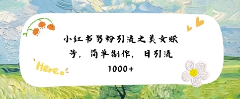 小红书男粉引流项目之美女账号6，简单制作，条条爆款原创，不违规-资源云