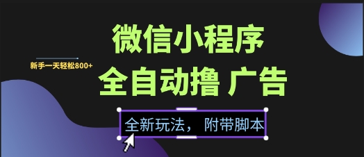 微信小程序全自动撸广告项目，彻底解决没流量的问题，新手一天8张+【揭秘】-资源云