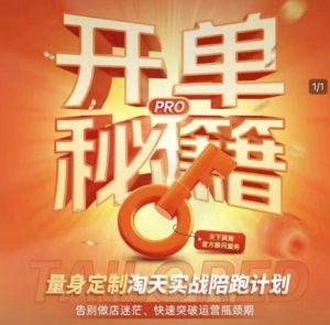 淘宝开单秘籍PRO,量身定制淘天实战陪跑计划,告别做店迷茫、快速突破运营瓶颈期(更新6月)-资源云