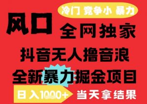 25年6月高爆抖音无人直播最新撸音浪掘金项目，解放双手小白可做，无脑日入1k+，门槛低【揭秘】-资源云