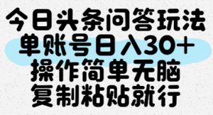 今日头条问答玩法,单账号日入30+,操作简单无脑复制粘贴就行-资源云